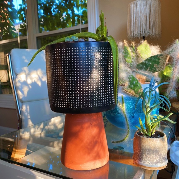 Handmade By Me Planter Terracota Dot 🔮 - Picture 16 of 16